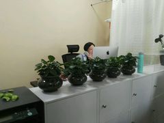 -青春加萌照相馆