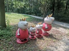 -溱湖国家湿地公园