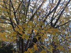 -北京国家会计学院