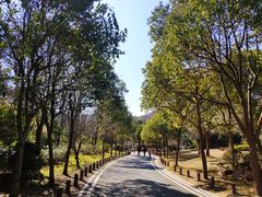 -宝界山林公园