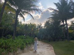 -南国锋味椰子鸡(瀚海店)