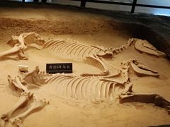 -洛阳周王城天子驾六博物馆