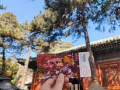 -潭柘寺景区
