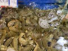 -舟山小海鲜大排档(稻香新村店)