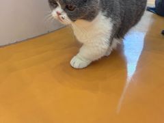 -天虹购物中心(深圳龙华店)