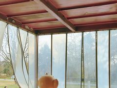 -鸡鸣汤包(红山动物园店)