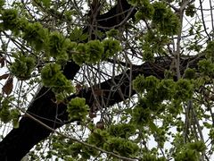 -周口店北京人遗址公园