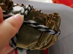-小陆莲花蟹园农家乐(莲花岛店)