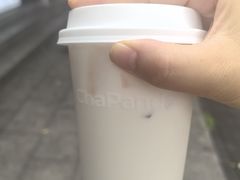 -茶百道(惠新东街店)