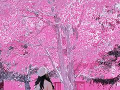 -长春世界雕塑园冰雪艺术天地