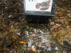 -盒马鲜生(曜一城店)