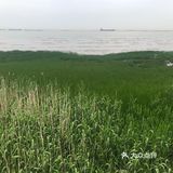 出示了绿色随申码和提前买的门票才入园