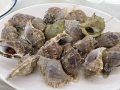 -红月湾海鲜饭店•沙滩海景(双月湾店)