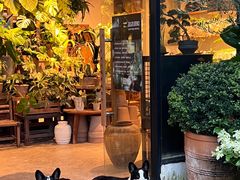 -自由生长植物工作室(深港花卉中心店)