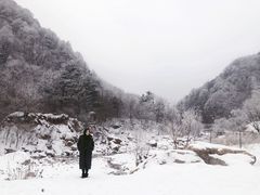 -秦岭风景区