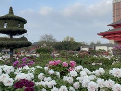 -曹州百花园