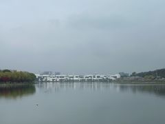 -羊山湖公园