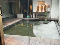-觀芷隐轩