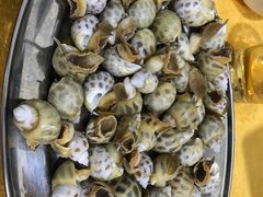 -蚝专家(北滘店)