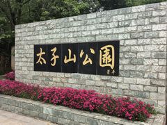 -太子山公园(园东路)