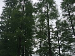 -艾溪湖湿地公园