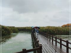 -宁波杭州湾国家湿地公园