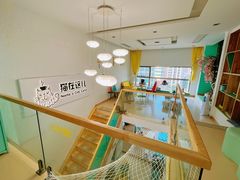 -猫在这儿猫咪咖啡馆·撸猫馆