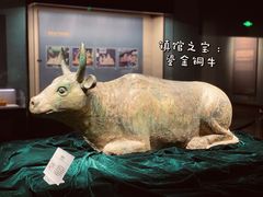 -宁夏博物馆