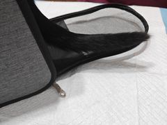 -爱诺动物医院(崂山店)