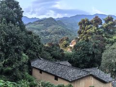 -杨家堂村