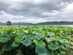 -西湖外事游船(湖滨二公园外事游船码头)