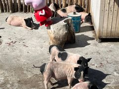 -水上乐园·欢乐世界