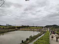 -长洲岛