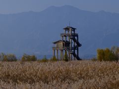 -野鸭湖国家湿地公园