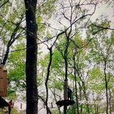 带着孩子[糖果]来次亲子游吧
