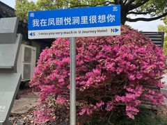 -鲁镇