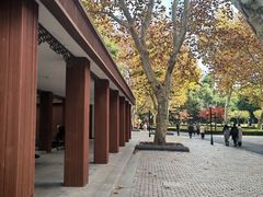 -中山公园