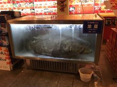 -御唐府海珊瑚主题餐厅