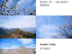 -大岭沟猕猴桃谷风景区