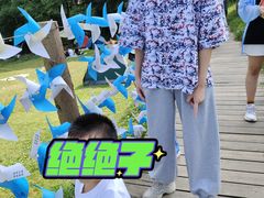 -武陵山森林公园