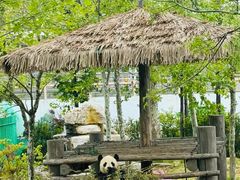 -西霞口神雕山野生动物世界