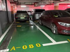 -阳光天地停车场(唐镇店)