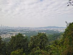 -火炉山森林公园