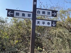 -灵岩山风景区