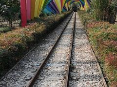 -合肥滨湖国家森林公园