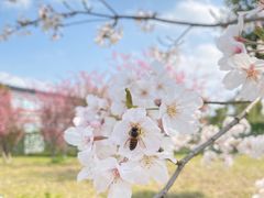 -南通鲜花小镇