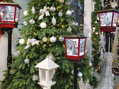 -上海虹桥花卉市场经营管理有限公司-停车场