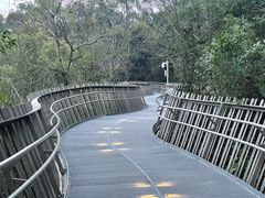 -福道