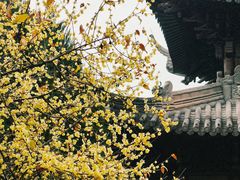 -钱王祠