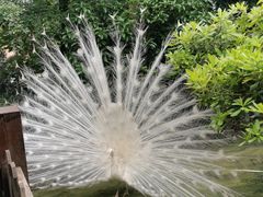 -庐山西海主景区